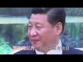 【膠登音樂台】《膠人愚蠢曾相識》（原曲：《相逢何必曾相識》，蔣志光、韋綺姍）