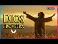 Download Lagu Historias reales: La Mujer que pidió pan y recibió un futuro nuevo