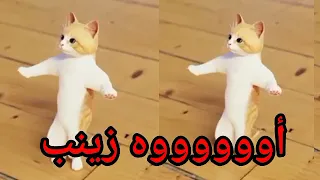  اغنية  زينب  الحلوة عيد ميلاد زينب اول تعليق السعودية تركيا الكويت العراق قطر لجزائر دبي جده الرياض دندنها