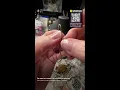 Hollywood vintage and modern jewelry