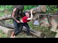 Agricultural vehicle transporting wood girl pulling wood extremely difficult.