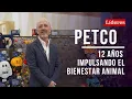 PETCO lider en productos y servicios para mascotas en Mexico POSTA LIDERES