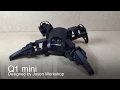 Q1 mini Quadruped Robot Designed by Jason Workshop