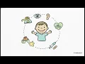 Miami School Physicals - Paradise Medical Center Primary Care