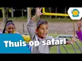 Download Lagu Thuis op safari - De Grote Show 2021 - Kinderen voor Kinderen