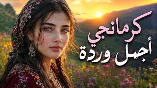 كورمانجي هرا كولي مترجم للعربية                      كرمانجي أجمل وردة دندنها