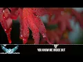[LYRICS] Hybrid Minds - Inside (ft. Emily Jones)