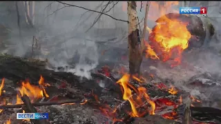 В Кормиловском районе спасали лес от пожара