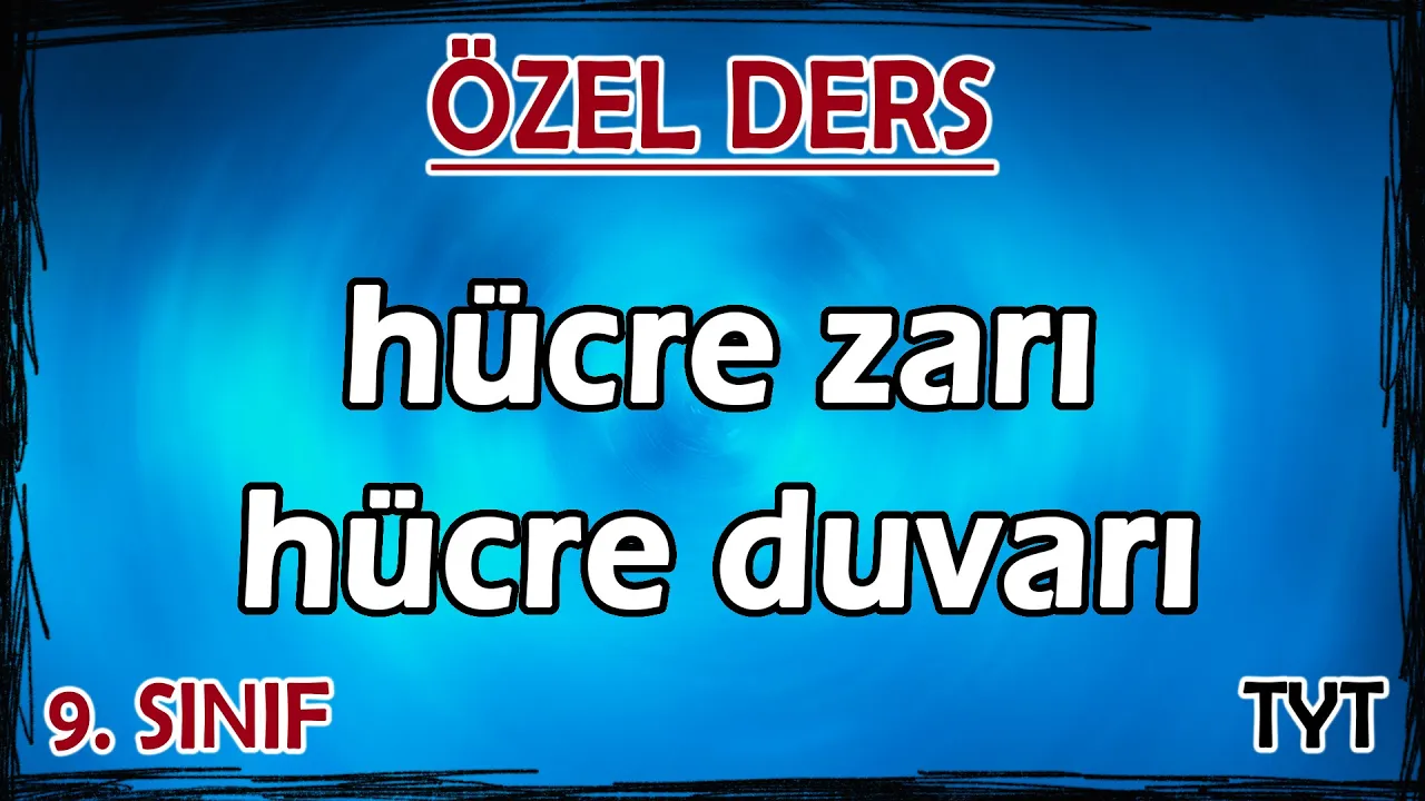 13) Hücre Zarı - Hücre Duvarı - Özel Ders (9. Sınıf)