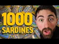 Lagu I Ate a 1000 Sardine in a Month… Here’s What Happened
