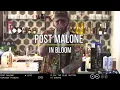 Post Malone - In Bloom Nirvana cover