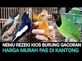 Download Lagu ⭐REZEKI NEMU KIOS BURUNG\