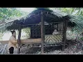 Lagu Full Video: 755 Busy Days Alone With My Little Daughter Building A Bamboo House In The Deep Forest