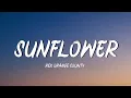 Sunflower - Rex Orange County
