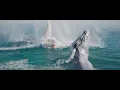 Whale Jump Water Simulation Blender FLIP Fluids Plugin