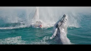 Whale Jump Water Simulation Blender FLIP Fluids Plugin