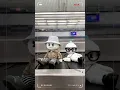 Download Lagu BIGO LIVE - DINO's Airport Fashion Show! ✈️✨