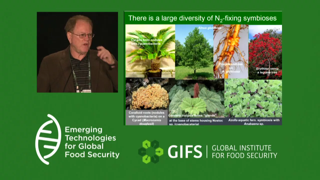 Nitrogen Fixation to Impact Global Food Production by Gary Stacey @ #GIFSconf2016