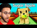 Download Lagu I Used Only Seeds My GOLDEN LAB Digs up in Grow a Garden!