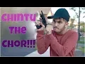 Download Lagu Chintu joins BANG BANG! | Shahveer Jafry