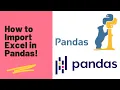 Import Excel data file into python pandas Read Excel File
