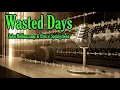 John Mellencamp & Bruce Springsteen - Wasted Days (ÁUDIO TRADUÇÃO)