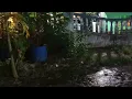 Rain Sounds In Daybreak | Nature Rain Sounds Relaxing Music | Rain Sounds Atmosphere