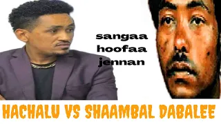 Sirba Ajaa Iba Shaambal Dabalee Ilma Jabaa 