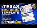 Premium Texas Driving License Photoshop Template Full Edit Tutorial