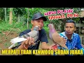 Download Lagu MERPATI SEBANYAK INI HARGA PELAJAR TINGGAL PILIH