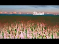 Weston Estate - Daisies (Official Audio)