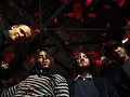 Red Hot Chili Peppers - Road Trippin lyrics