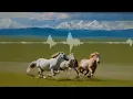 Ali Aksoy - Altaylardan Tunaya