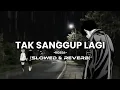 Lagu TAK SANGGUP LAGI -Rosa (lirik)