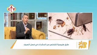 أفضل طريقة للقضاء على صراصير المطبخ بشكل نهائي برنامج صباح النور 
