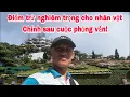 Download Lagu Điểm trừ nghiêm trọng cho nhân vật chính sau cuộc phỏng vấn ngày 9/10/25 tại Lâm Tỳ Ni!