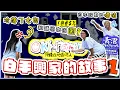 Download Lagu 【香港人沖繩白手興家的故事 Part 1】沖繩潛水店 #青潛 過山車的 #日本創業故事 | 租舖原來很困難 | 尋找員工 | 冷落了女兒 | 日本股東的真正價值 #移居沖繩 (中文字幕)