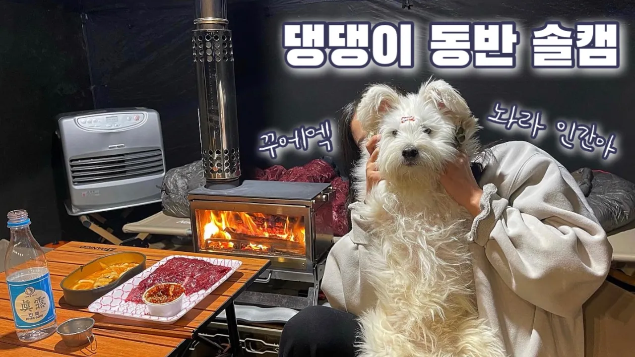애견동반 캠핑 | 백컨트리280쉘터 & 미니맥스 화목난로 조합 | 육사시미&소주🥩🍺 | solo camping | 솔로 캠핑 サムネイル