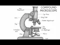 Microscope drawing easily How To Draw compound microscope step by step Compound microscope art