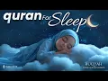 Download Lagu Quran For Sleeping | Surah Yaseen , Surah Al-Jumuah    | Cure - Ruqyah - LOFI | #quranforsleep
