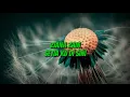 Ziana Zain - Setiaku Di Sini