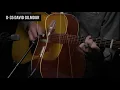 Martin D-35 David Gilmour Guitar