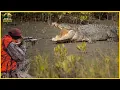 Lagu Geweer versus boog – De ultieme uitdaging voor krokodillenjacht in de moerassen van Bangweulu | I...