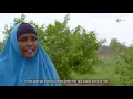 Download Lagu DRM Documentary about the Intergovernmental Authority on Development (IGAD) – Long Version