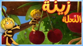مايا النحلة زينة لن تنام 