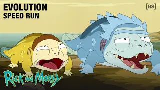 evolution speed run rick and morty adult swim