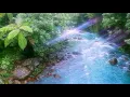 Download Lagu 𝙱𝚕𝚊𝚌𝚔 𝚠𝚊𝚝𝚎𝚛 𝚕𝚒𝚕𝚒𝚎𝚜 𝙰𝚞𝚛𝚘𝚛𝚊 𝚜𝚕𝚘𝚠𝚎𝚍 𝚎𝚍𝚒𝚝𝚒𝚘𝚗