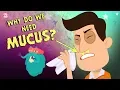 Download Lagu Why Do We Need Mucus? The Dr. Binocs Show | Best Learning Videos For Kids | Peekaboo Kidz