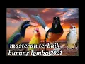 Download Lagu masteran terbaik burung lomba 2021