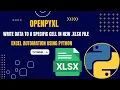 Excel Automation Tutorial - 6 Create and Write to Cells in a new xlsx File openpyxl Python